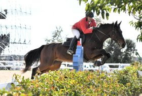 Sardegna: il campione regionale di Completo è Marco Pau su Zabdal