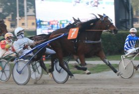 Domenica 10 novembre, all’ippodromo di Bologna in pista nel nome della Famiglia Canali – Veneziani