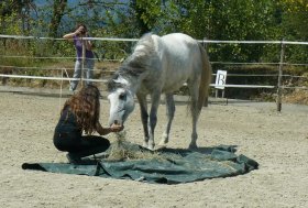 Alessandra Deerinck: La nascita del CAVALLO