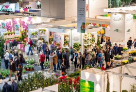 Myplant & Garden cresce ancora!