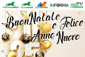 Buon Natale, Ti auguriamo felicità, armonia, pace e amore. Buone feste!