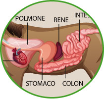 Corso patologie più comuni 2
