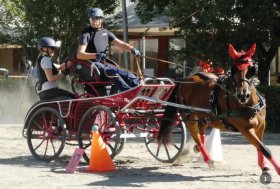 Attacchi: Si ricomincia da Alessandria