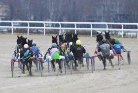 Mercoledì all’ippodromo Snai San Siro la 7^ giornata stagionale di trotto, in evidenza il Premio Zlatan