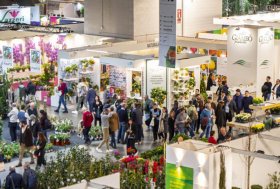 Myplant & Garden – International Green Expo. Milano 19-21 febbraio 2025