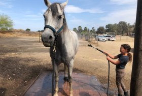 Alessandra Derrinck: L’uomo, il cavallo e l’acqua