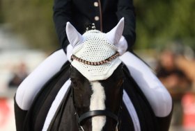 Dressage ed Equitazione Paralimpica: i programmi e le manifestazioni d’interesse federale 2025