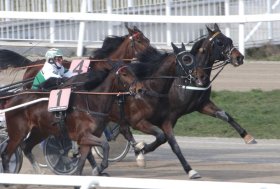 Venerdì di trotto all’ippodromo Snai San Siro di Milano con il penultimo appuntamento del calendario di marzo