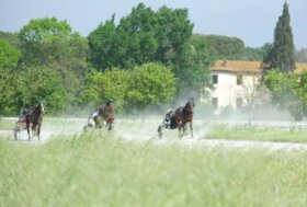 Rassegna del Cavallo Trottatore Yearlings, cavalli in attività, carature, stalloni, fattrici