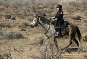 Alessandra Deerinck: Il cavallo, il cavaliere e l’equilibrio