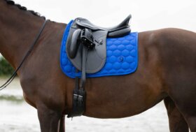 Novità Cavallo & Cavaliere! Nuove Proposte per Te con i Vantaggi di Agosto