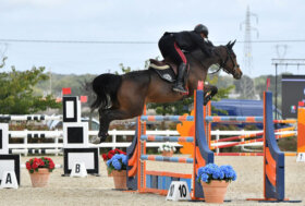 Al Sardegna Jumping Tour brillano non solo i Chimirri ma anche Luigi Angius, Giovanni Carboni e Antonio Meloni Al Sardegna Jumping Tour brillano non solo i Chimirri ma anche Luigi Angius, Giovanni Carboni e Antonio Meloni