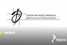 L’OMV di Como e Lecco ha promosso un concorso per onorare la memoria del collega Alberto Tamagnone L’OMV di Como e Lecco ha promosso un concorso per onorare la memoria del collega Alberto Tamagnone