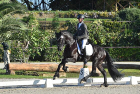 Trionfo alla rassegna del cavallo Frisone: Rikkert e Claudia Montanari conquistano il primo posto con 77,5 AA Trionfo alla rassegna del cavallo Frisone: Rikkert e Claudia Montanari conquistano il primo posto con 77,5 AA