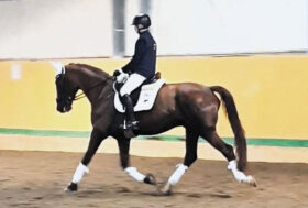 La Sardegna si fa onore alla Coppa delle Regioni di Cervia – Oro e argento per Andrea Sanna