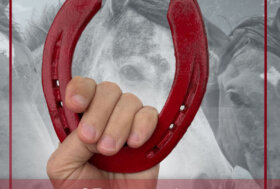 Giornata Internazionale per l’Eliminazione della violenza sulle Donne: la Federazione Italiana Sport Equestri celebra la parità e l’inclusività