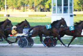 Arcoveggio: giovedì otto confronti al top. Il cloud – PREMIO ANTELAO