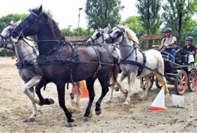 Attacchi: Sotto il sole di fine estate