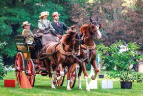 Attacchi: L’orgoglio di esserci!