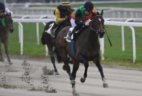 All’ippodromo Snai San Siro sabato di galoppo con Anthaia che vince il Premio Trau, handicap limitato per i velocisti                      