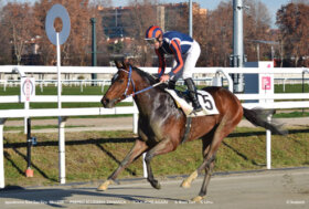 All’ippodromo Snai San Siro la pista in sabbia di galoppo si conferma ottima nel lunedì valido per la 54^ stagionale in cui Touch Me Again ed Ersilia vincono i due Handicap Limitati 