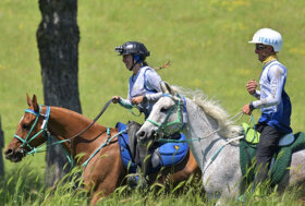 FEI Endurance Forum a Perugia il 16 e 17 gennaio 2026