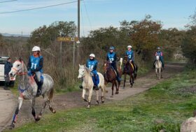 Endurance: l’anglo-arabo Dedalo de Aighenta montato da Raffaela Masia vince la Finale Circuito Asvi Giovani Cavalli