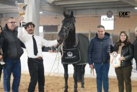 Conclusa la 70^ Edizione del Mercato Concorso del Cavallo delle Murge e dell’Asino di Martina Franca –