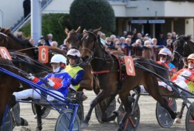 Arcoveggio: giovedì 1° gennaio si inaugura l’anno di trotto con sette corse