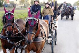 In Carrozza. Si parte! Viaggio del Sor-riso 2025