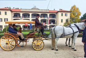 Attacchi: Voglia di Tradizione