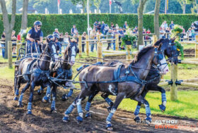 Attacchi: Verso Aachen 2026