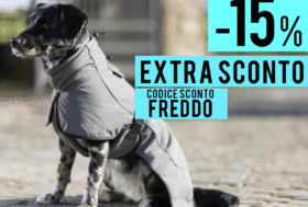 Il Freddo non Demorde? -15% Extra Sconto codice Freddo. Scopri come ottenerlo