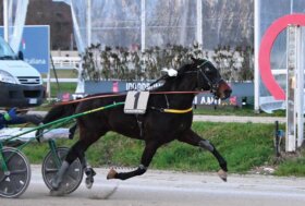 Indigo Roc, vittoria e record in ricordo del ‘Pilota’ Sergio Brighenti nel lunedì di trotto all’ippodromo Snai San Siro di Milano