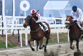 All’ippodromo Snai San Siro il mercoledì di galoppo con la vittoria meritata di Partigiano Elfo nel primo quintè stagionale a Milano