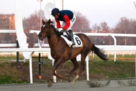 Girl Supreme illumina il mercoledì di galoppo all’ippodromo Snai San Siro