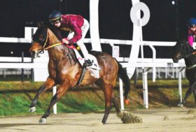 Il mercoledì di galoppo all’ippodromo Snai San Siro vede Cablay imporsi nel Quintè per il premio Konigsstuhl