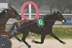 All’ippodromo Snai San Siro di Milano Gaga Lady si conferma nella super condizionata intitolata a Aleksandr Finn, il ‘Mago Russo’