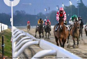 Il mercoledì di galoppo all’ippodromo Snai San Siro di Milano propone sei corse molto interessanti tra handicap e condizionate