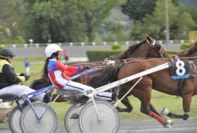 Il trotto onora i campioni dello sci: sette sfide in pista a Montegiorgio tra cavalli e leggende bianche