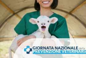 25 gennaio: Giornata Nazionale della Prevenzione Veterinaria – Una sola salute