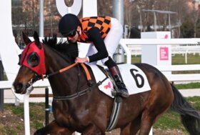 Nel Quintè per il Premio Schiapparelli vittoria di Kahu