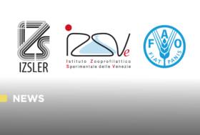 L’Italia alla guida della strategia globale “5G”: IZSVe e IZSLER designati Centro di Referenza FAO per la riduzione degli antimicrobici