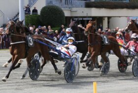 Ippodromo di Bologna: giovedì 19 febbraio, otto corse dalle 14:55. Clou per soggetti di 5 e 6 anni