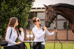 FESTEGGIA 🎉 Approfitta dei buoni sconto… Da usare su ciò che Vuoi