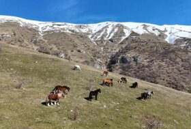 I dati shock di inizio 2026 confermano un progressivo abbandono delle aree interne