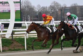 Lucky Love vince di un soffio il Premio Fantasio, TQQ del mercoledì di galoppo all’ippodromo Snai San Siro