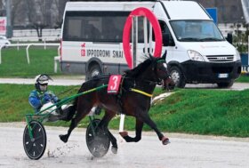 La pioggia del sabato di trotto all’ippodromo Snai San Siro non ferma Ifly Point che vince la Super Condizionata valida per il Premio Nosate Trotto