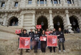 Gabbie negli allevamenti: Essere Animali lancia una proposta di legge di iniziativa popolare per vietare questo metodo arcaico e crudele anche in Italia 