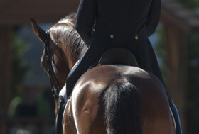 Giovani del dressage in evidenza a Ornago